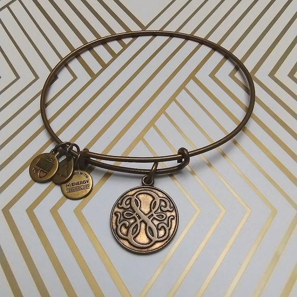 Alex & Ani Path of Life bracelet Strength Motivation Knowledge - Picture 3 of 5